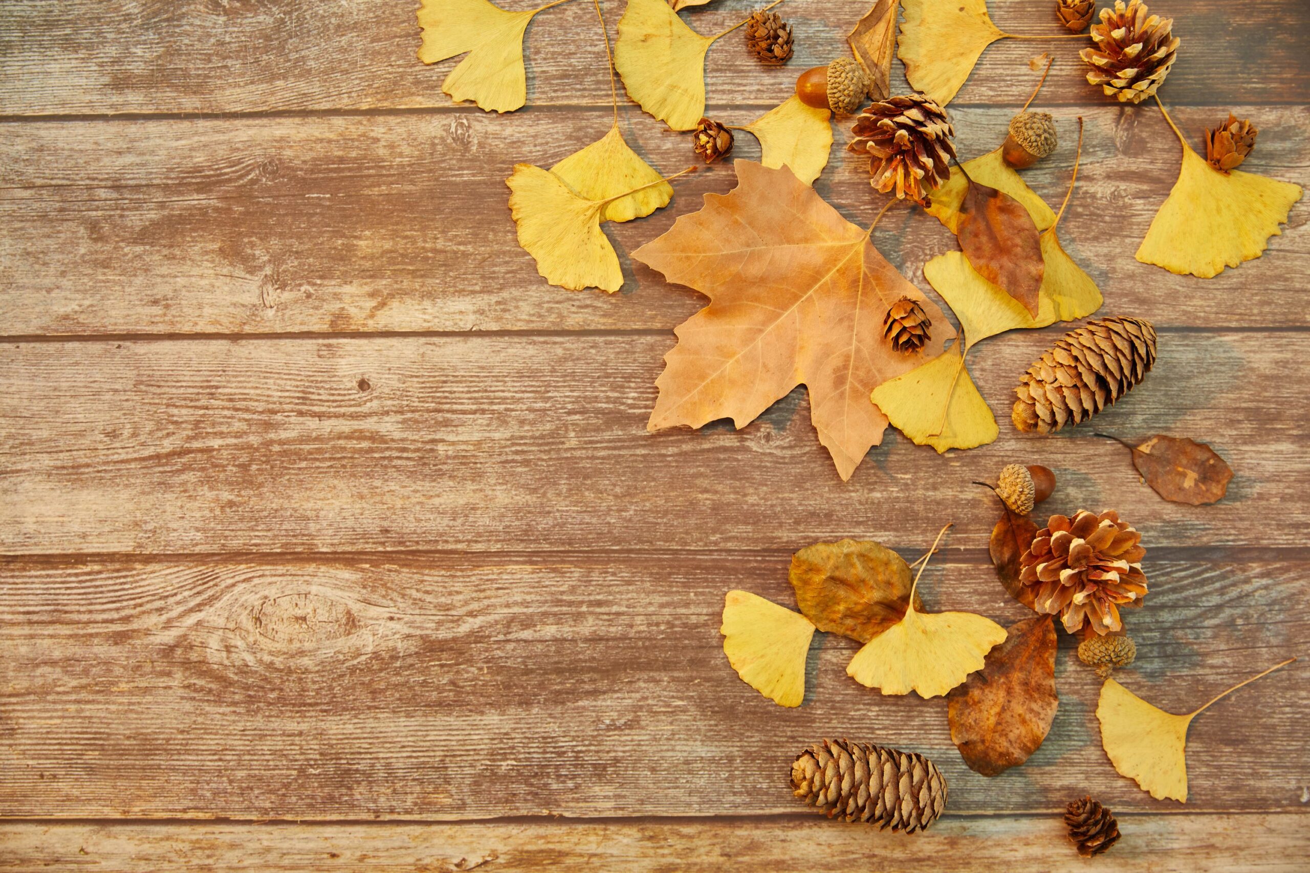 Close Up Autumn Leaves Table