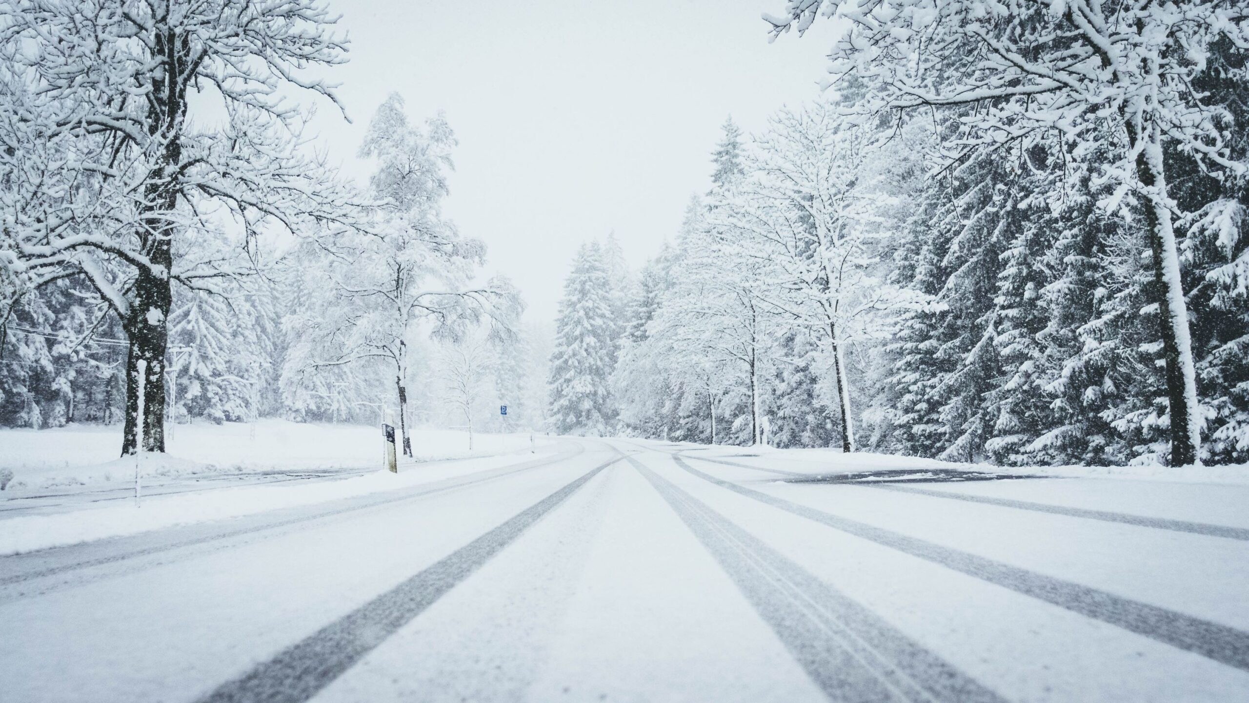 Road Covered in Snow Surrounded by Nature