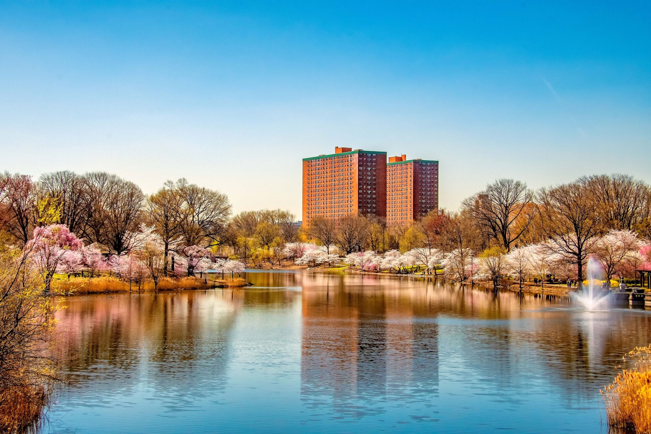 Breathtaking Autumn Photo of a Lake in Branch Brook Park Newark